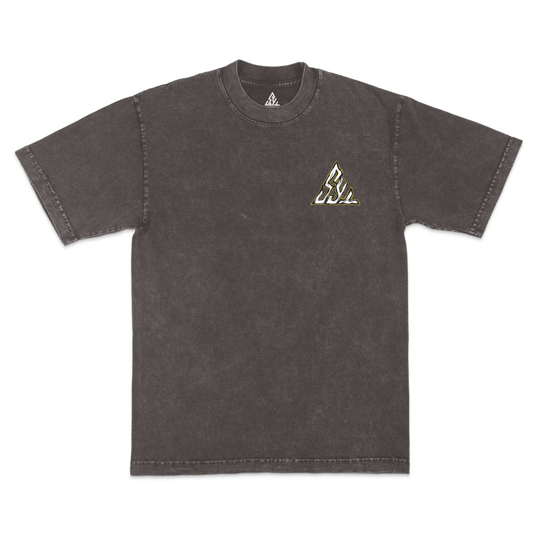 Protagonists Heavyweight Mineral Wash Tee - Cocoa